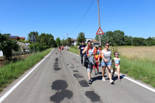 StraVOLTA 2014